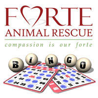 FORTE Animal Rescue Bingo - Wednesday June 15th 7 PM