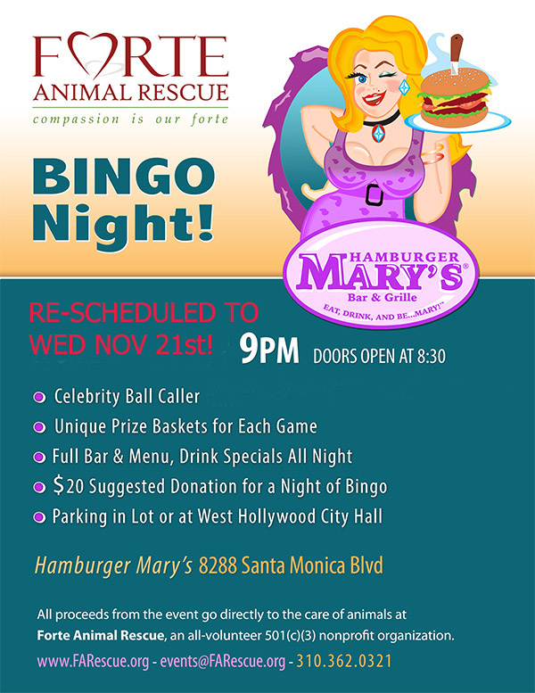 FORTE Animal Rescue Bingo - Wednesday November 21st 9 PM